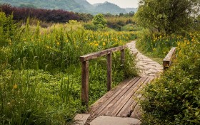 人際溝通能力用英語怎麼說人際交流技巧：英文怎麼說？