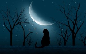 每種英語怎麼說英語的「每種」怎麼說？