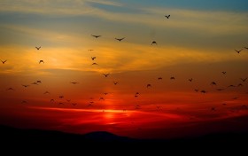 1米8用英語怎麼說1.8 米高度英文表達解析