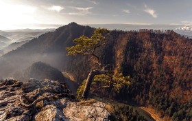 晚安英語怎麼說語音晚安英語怎麼說語音輕鬆學